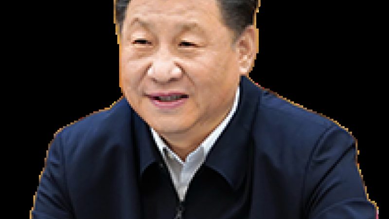 上海无机化工原料规格参数，如何精准把握？**